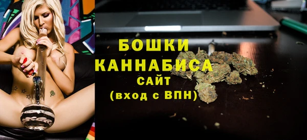 шишки Няндома