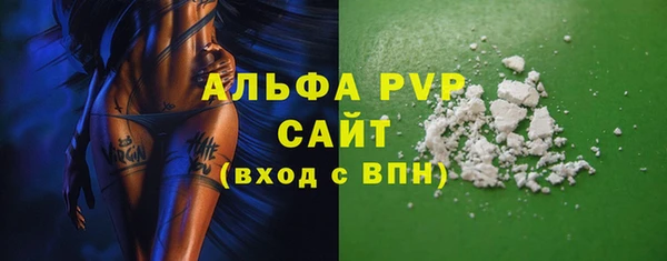 шишки Няндома
