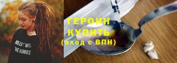 шишки Няндома
