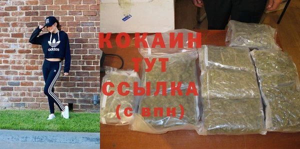 шишки Няндома