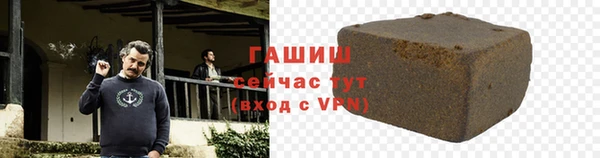 шишки Няндома