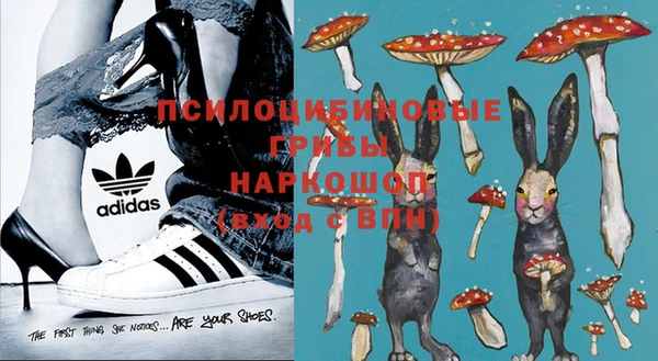 шишки Няндома