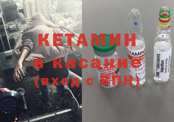 шишки Няндома