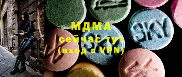 шишки Няндома