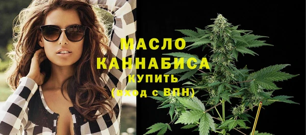 шишки Няндома