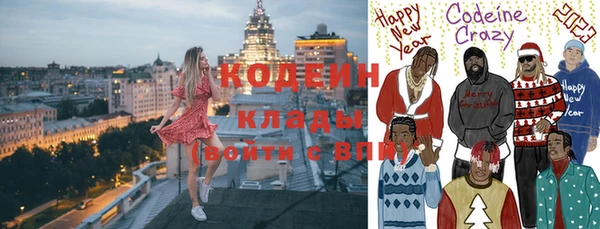 шишки Няндома