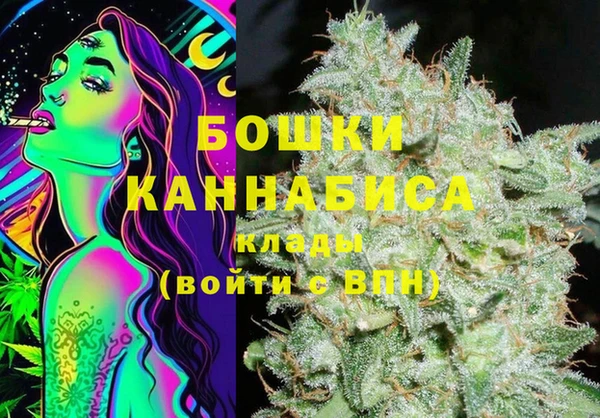 шишки Няндома