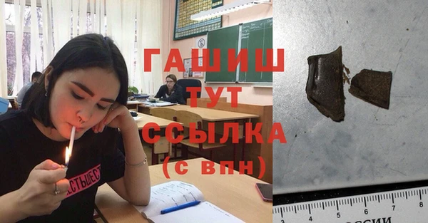 шишки Няндома