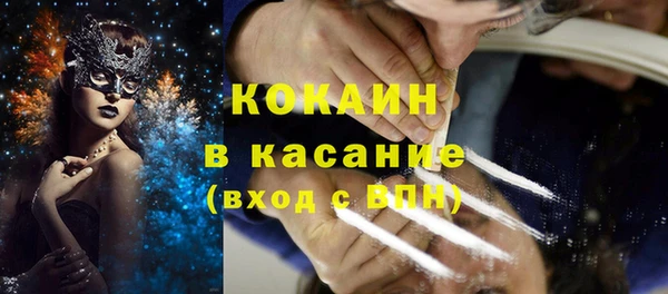 шишки Няндома