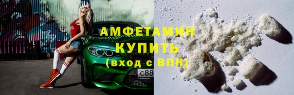 шишки Няндома