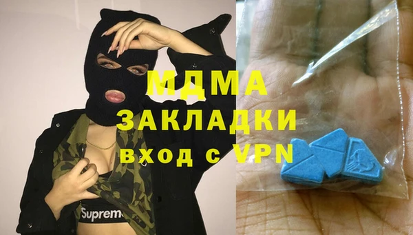 шишки Няндома