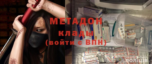 шишки Няндома