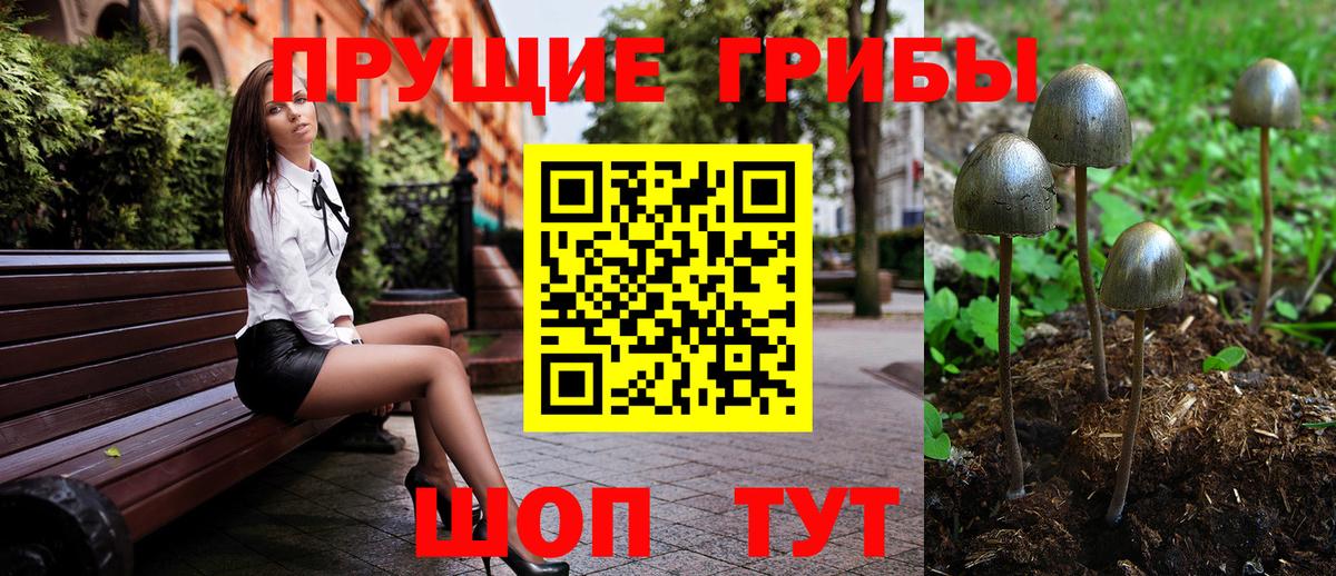 Псилоцибиновые грибы мухоморы  Каменск-Уральский 