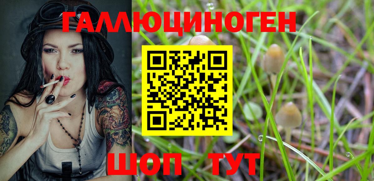 купить наркотик  Галлюциногенные грибы прущие грибы  Вход с VPN  Каменск-Уральский 