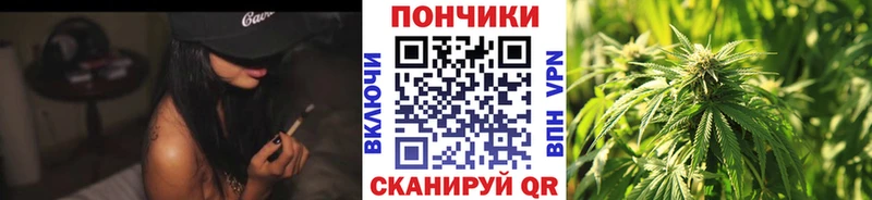 хочу наркоту  Каменск-Уральский  Каннабис VHQ 